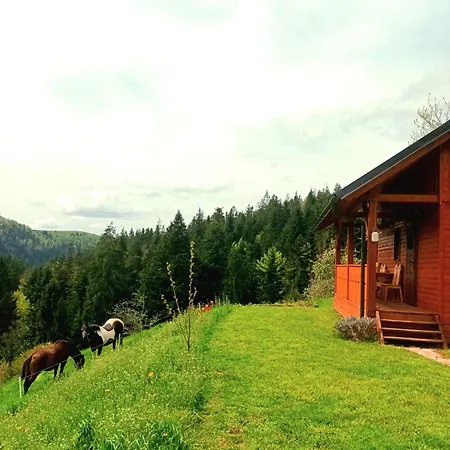 Tiny House Dom wakacyjny *