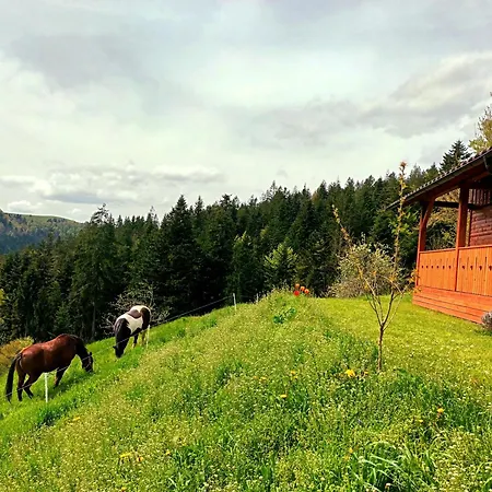 Tiny House Ziri